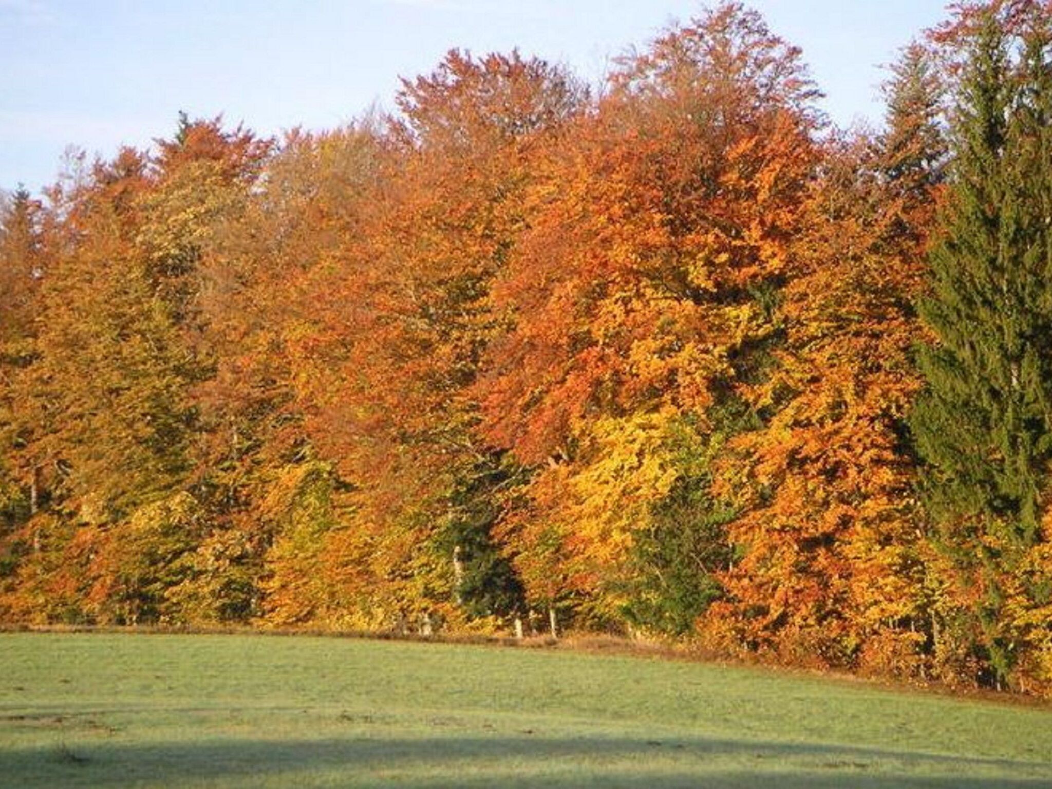 - image: 10