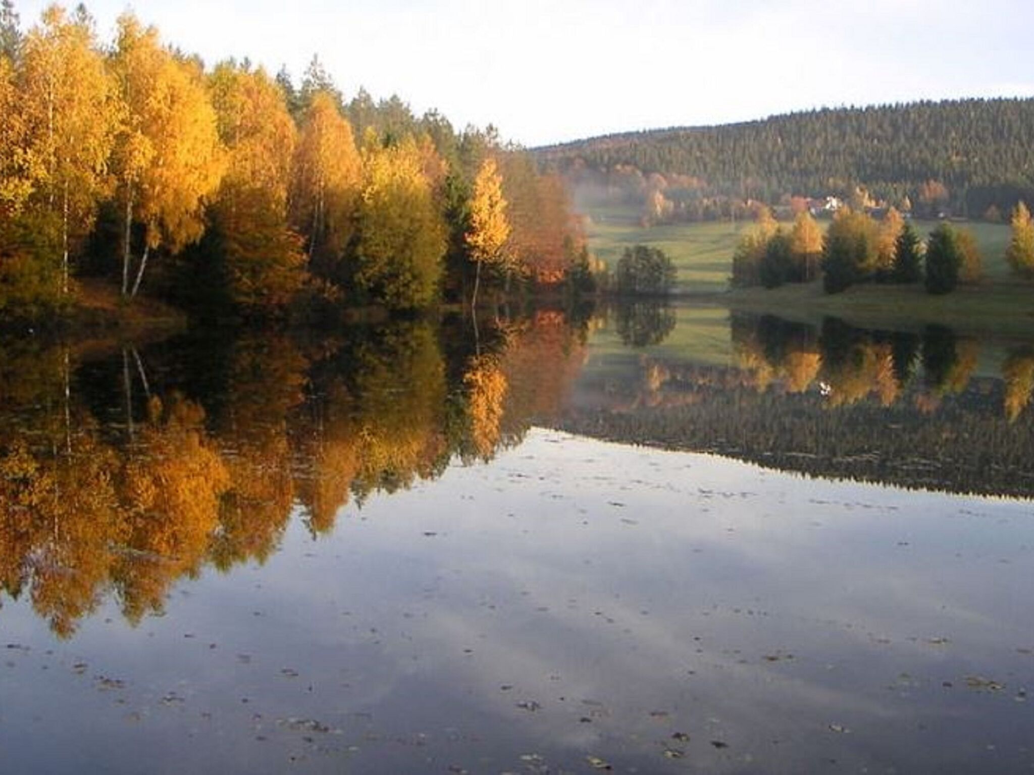 - image: 11