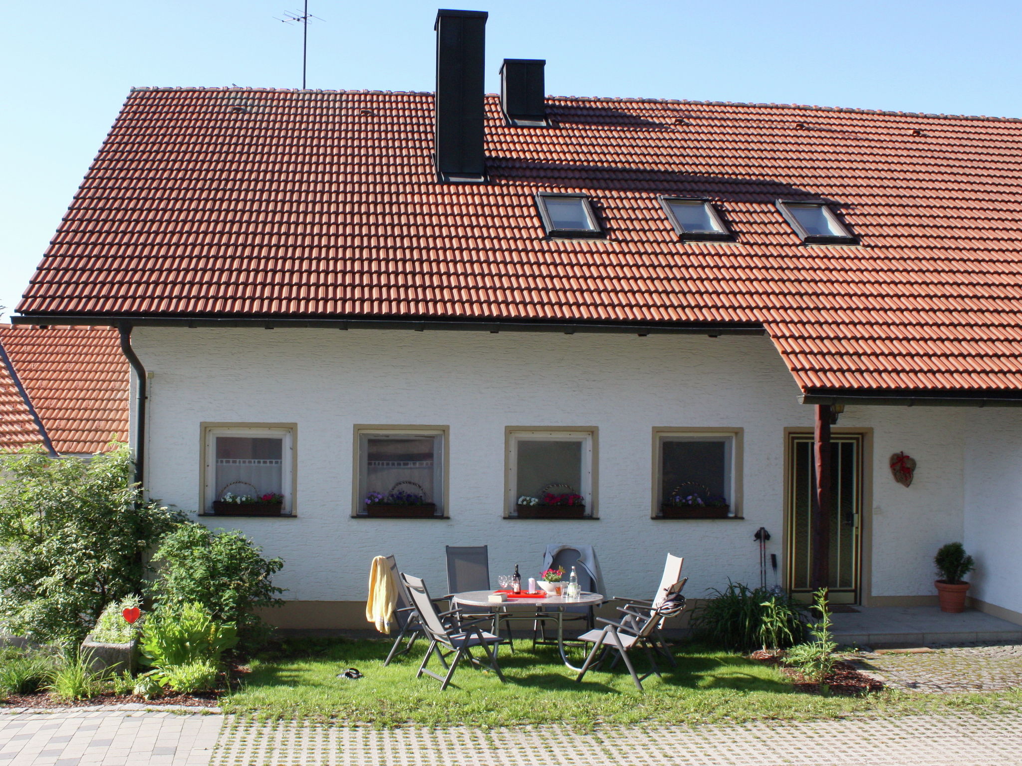 - image: 1