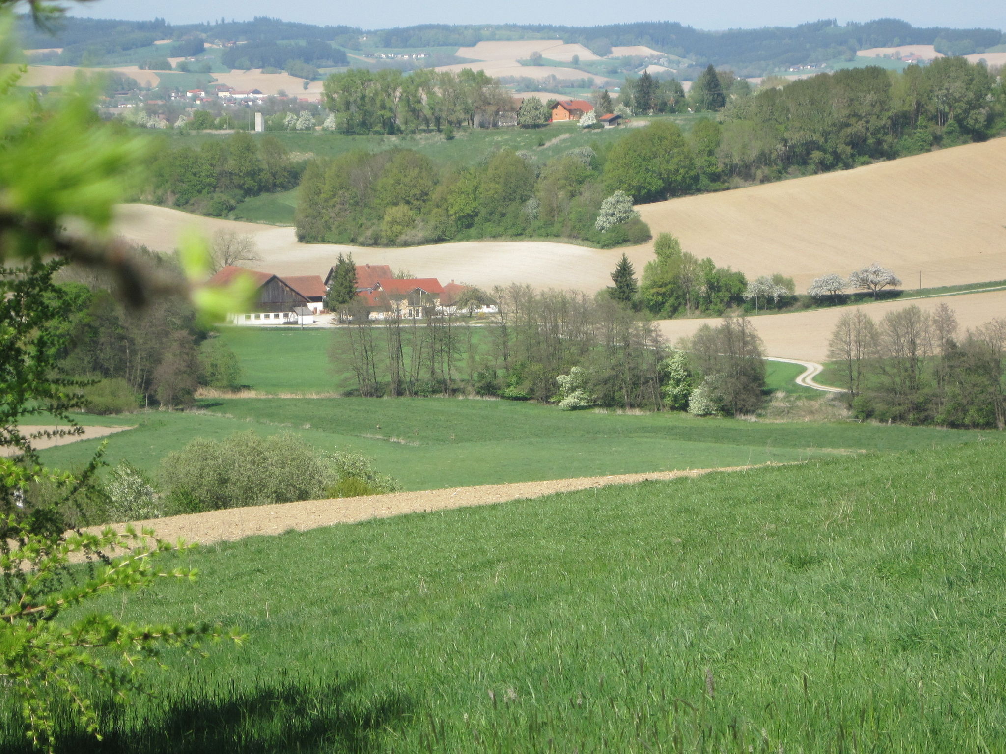 - image: 12