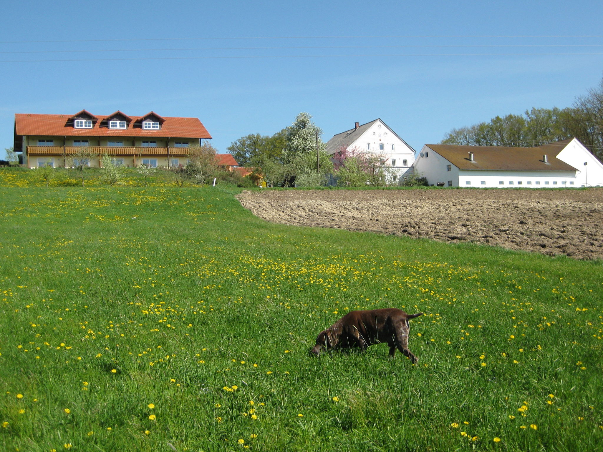 - image: 2
