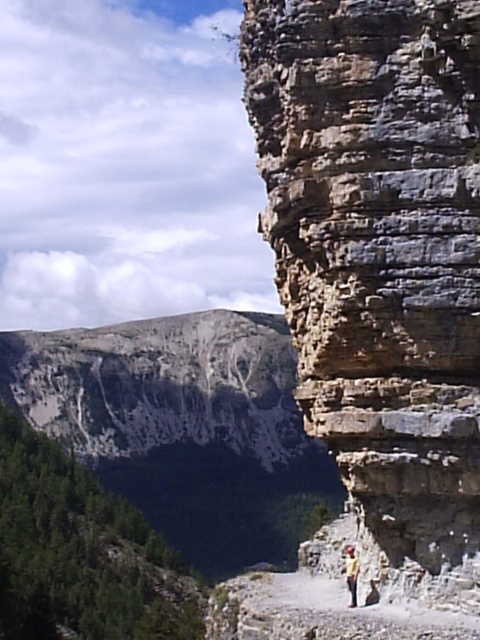 - image: 21