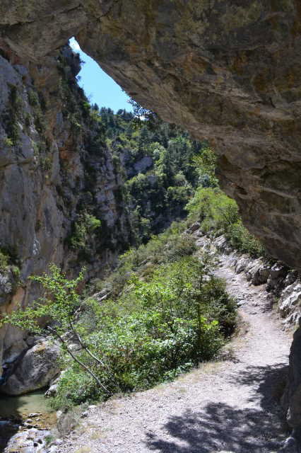 - image: 27