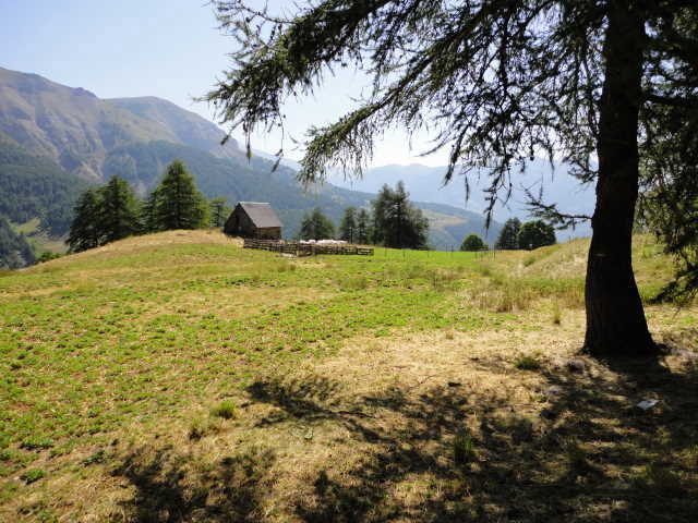 - image: 11