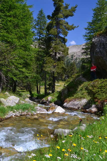 - image: 20