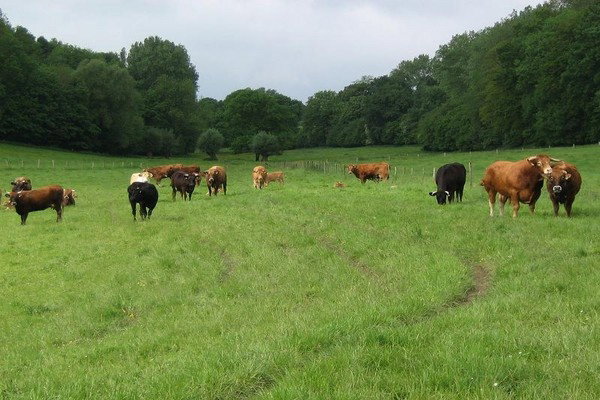 Maison nature à Gulpen- Euverum-slenaken-beutenaken