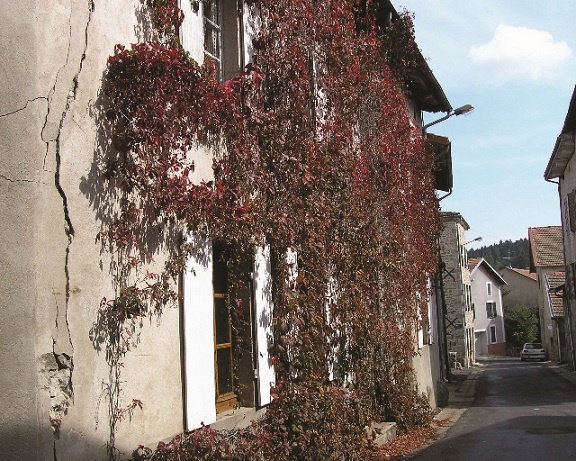 - image: 44