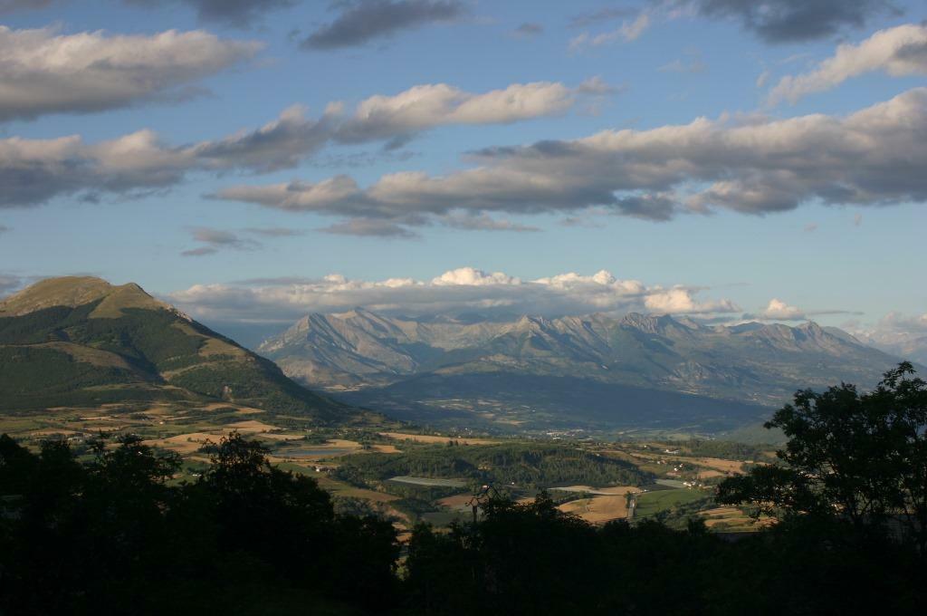 - image: 20