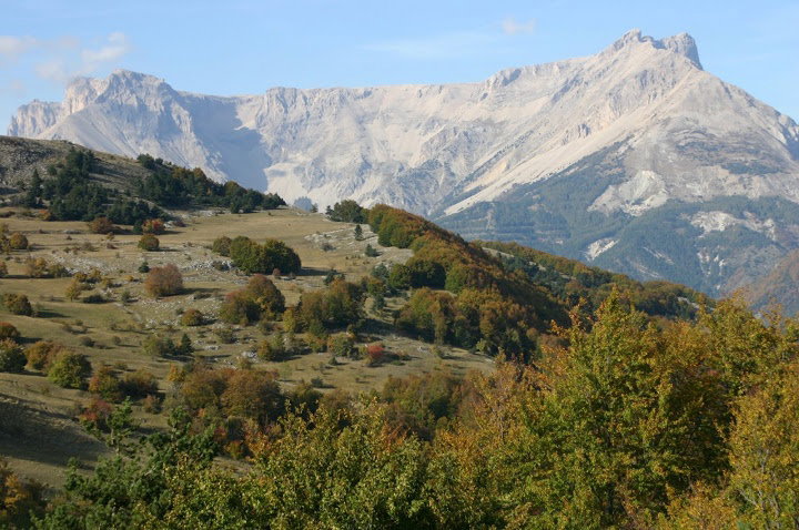 - image: 21