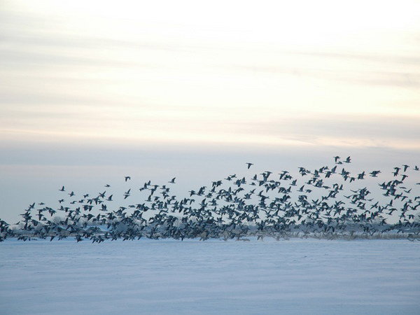 - image: 21