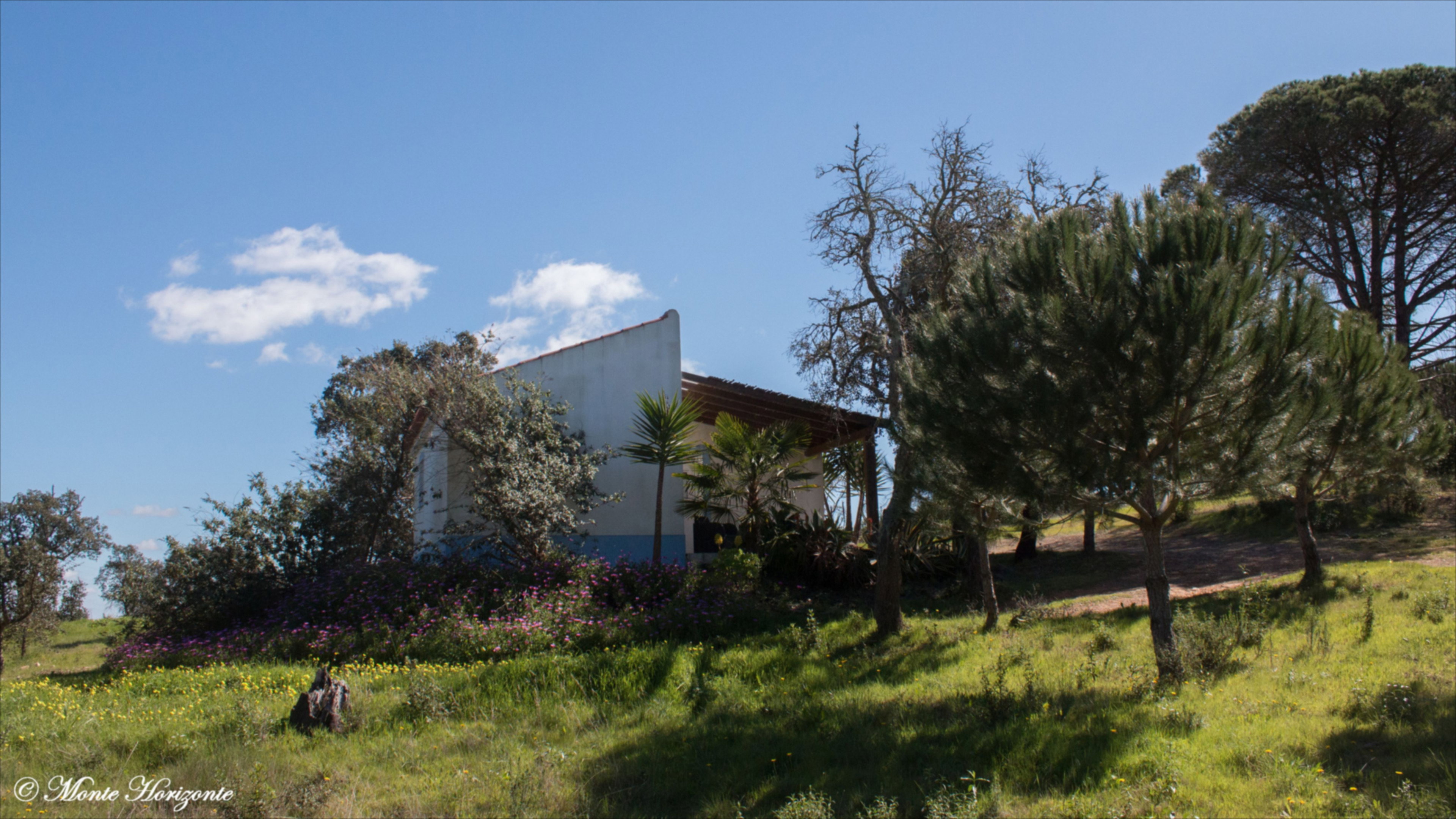 Natuurhuisje in Santiago do Cacém
