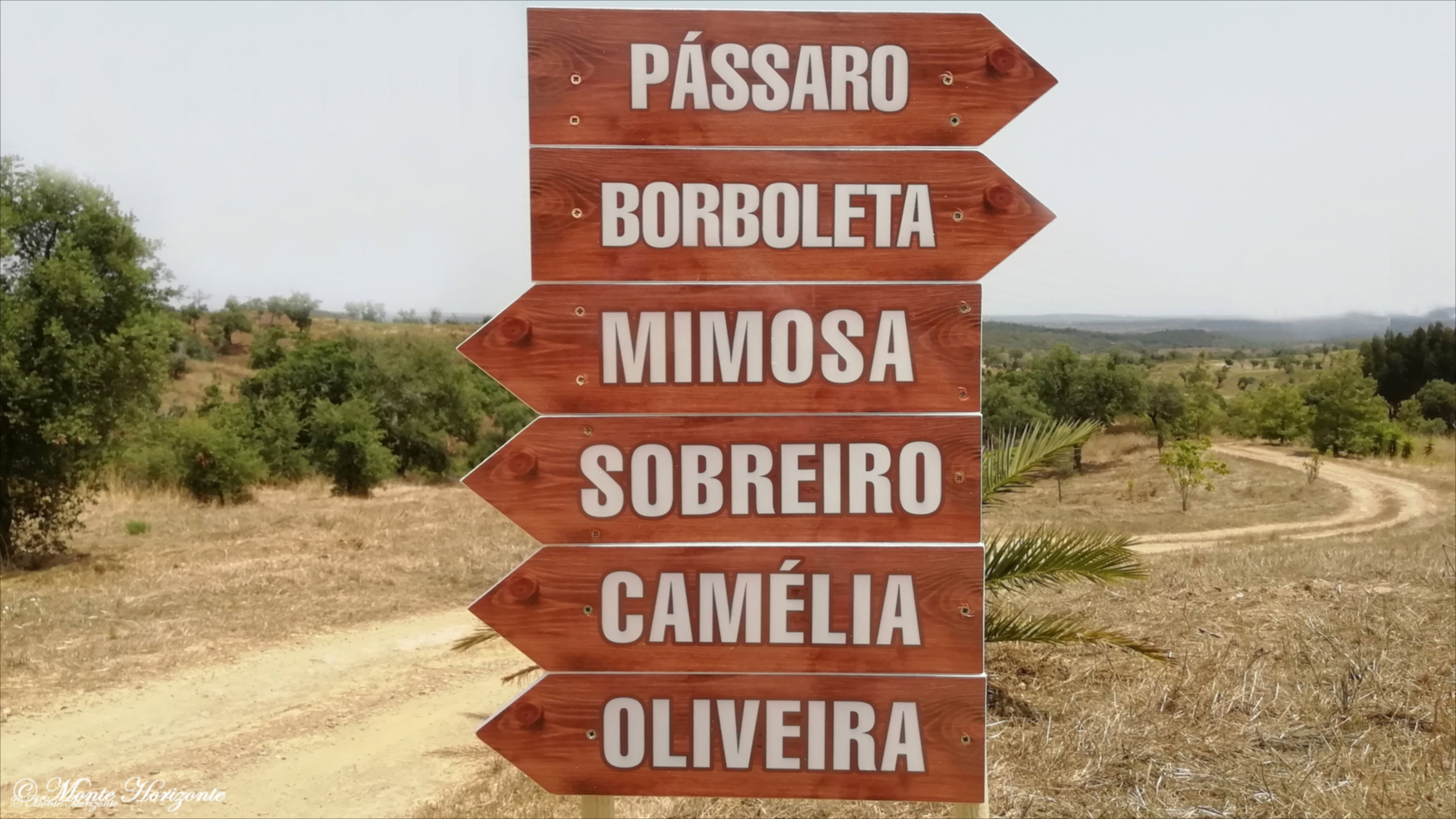 - image: 12