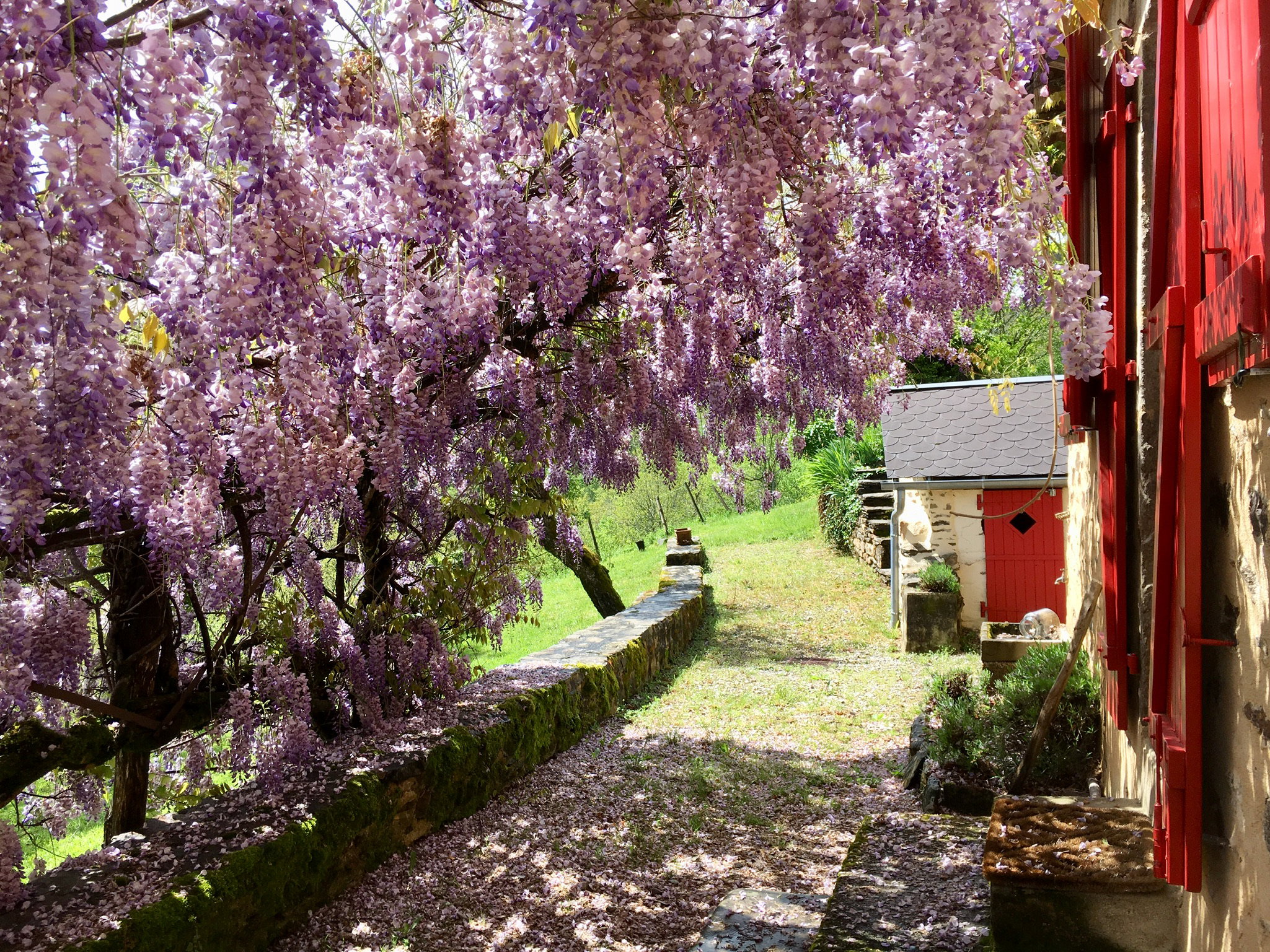 Maison nature à Saint-Bonnet-Elvert