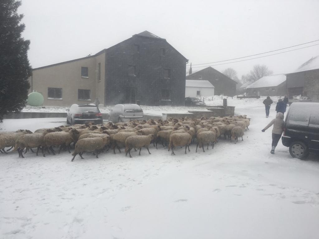 - image: 25