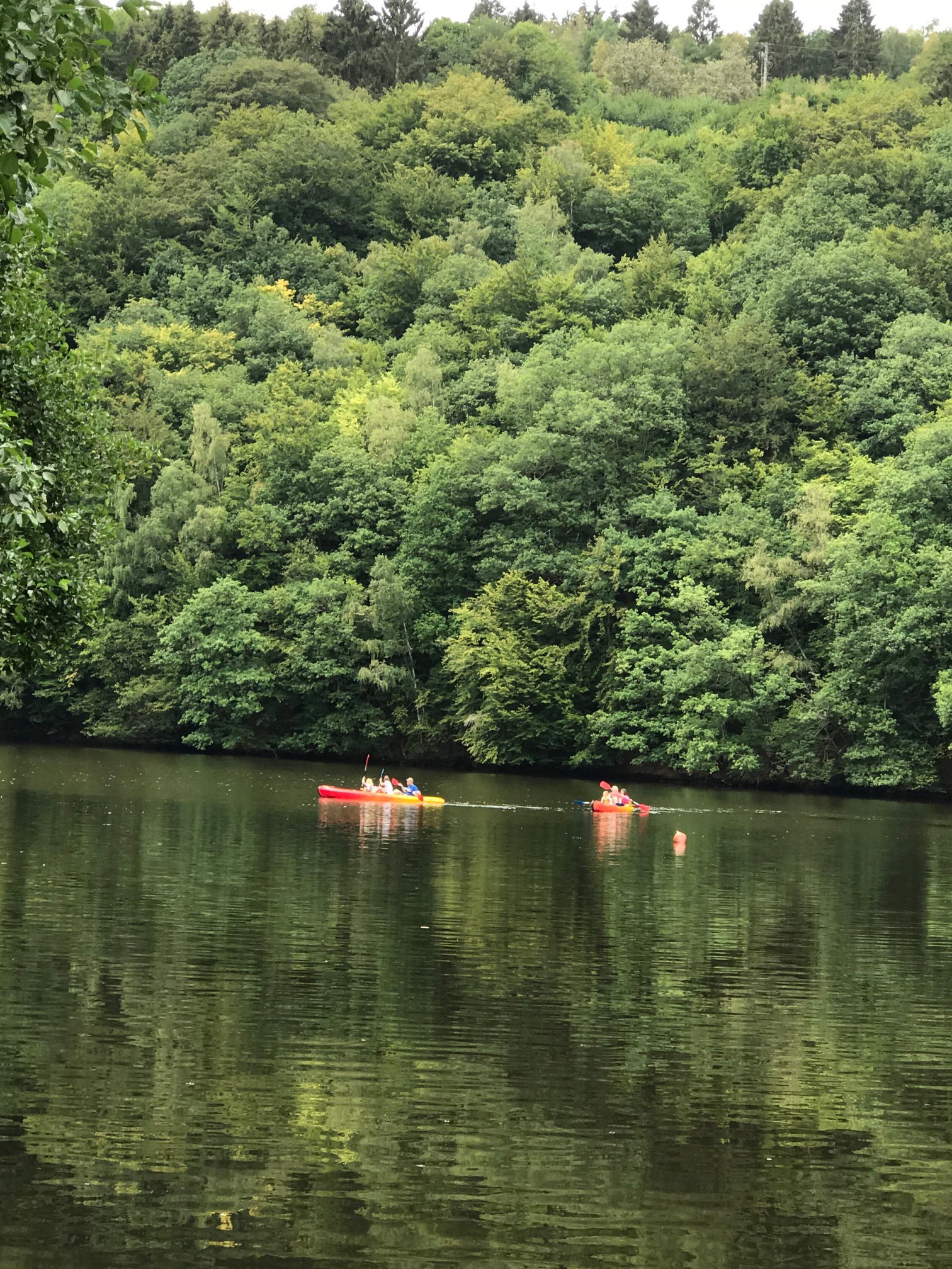 Naturhäuschen in Fraiture-Vielsalm