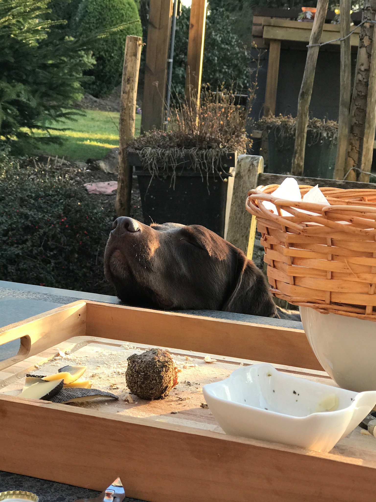 Naturhäuschen in Fraiture-Vielsalm