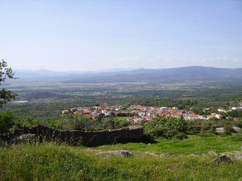 - image: 16