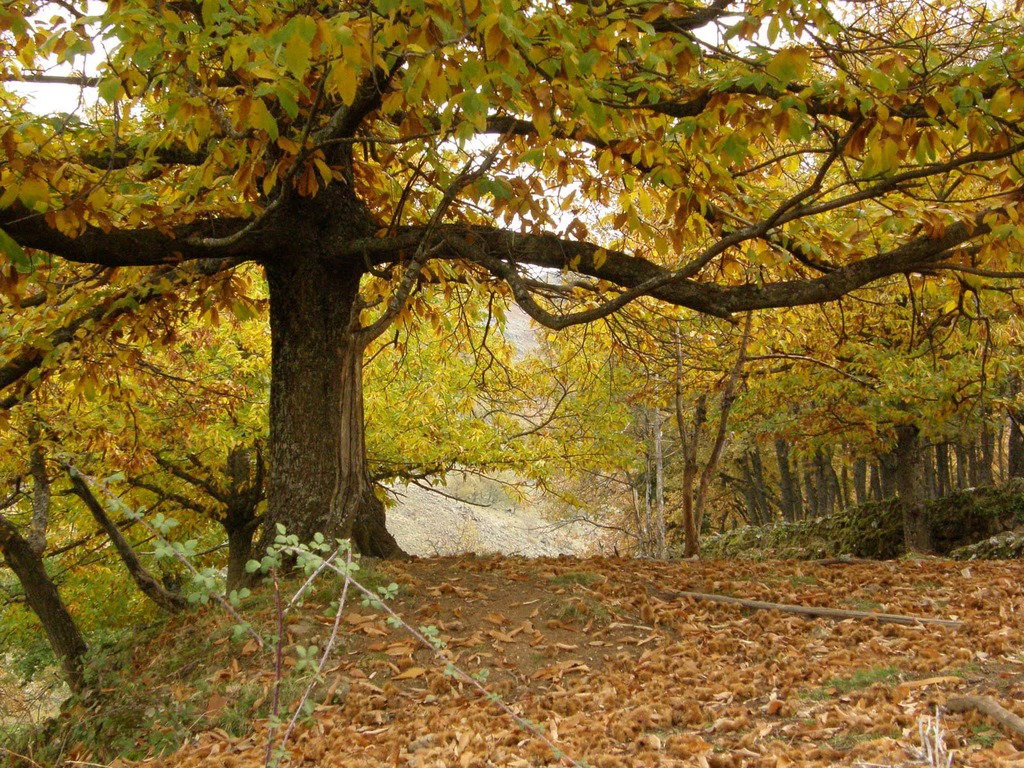 Maison nature à Casas Del Monte