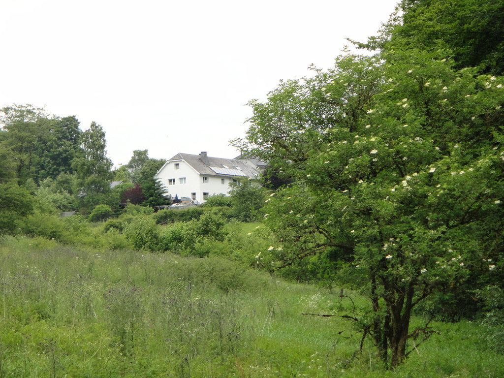 - image: 26