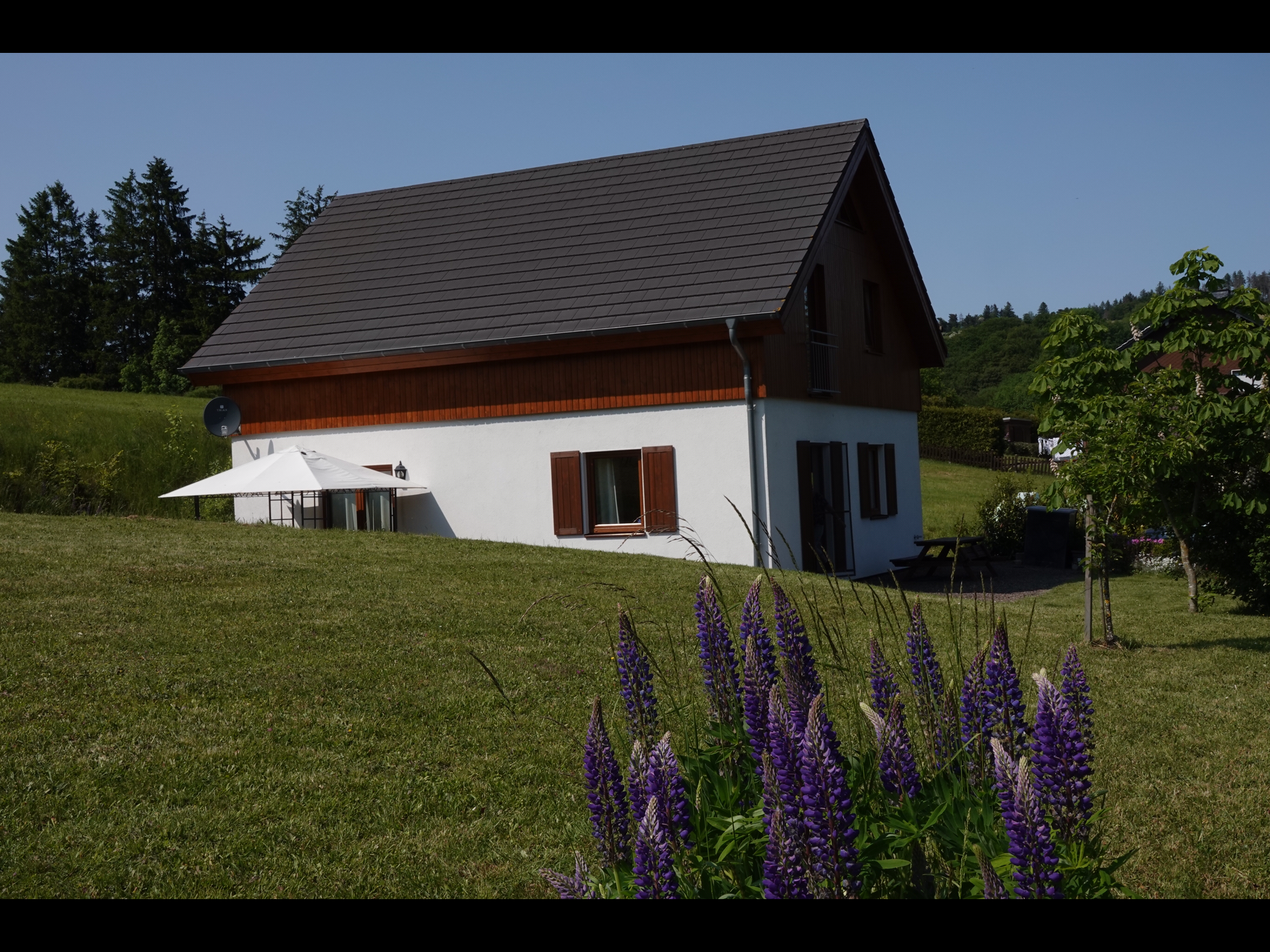 Maison nature à Willingen