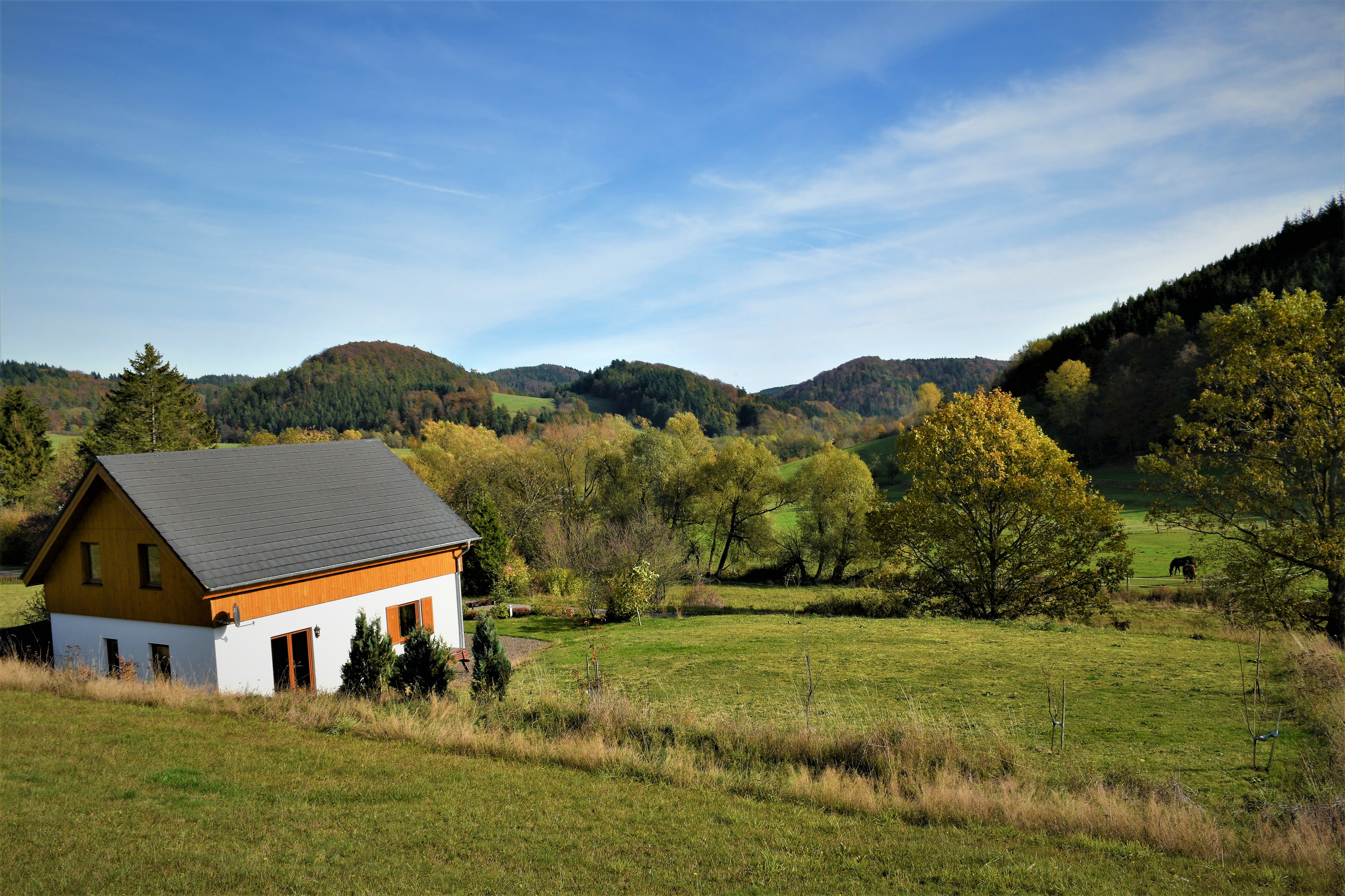 Maison nature à Willingen
