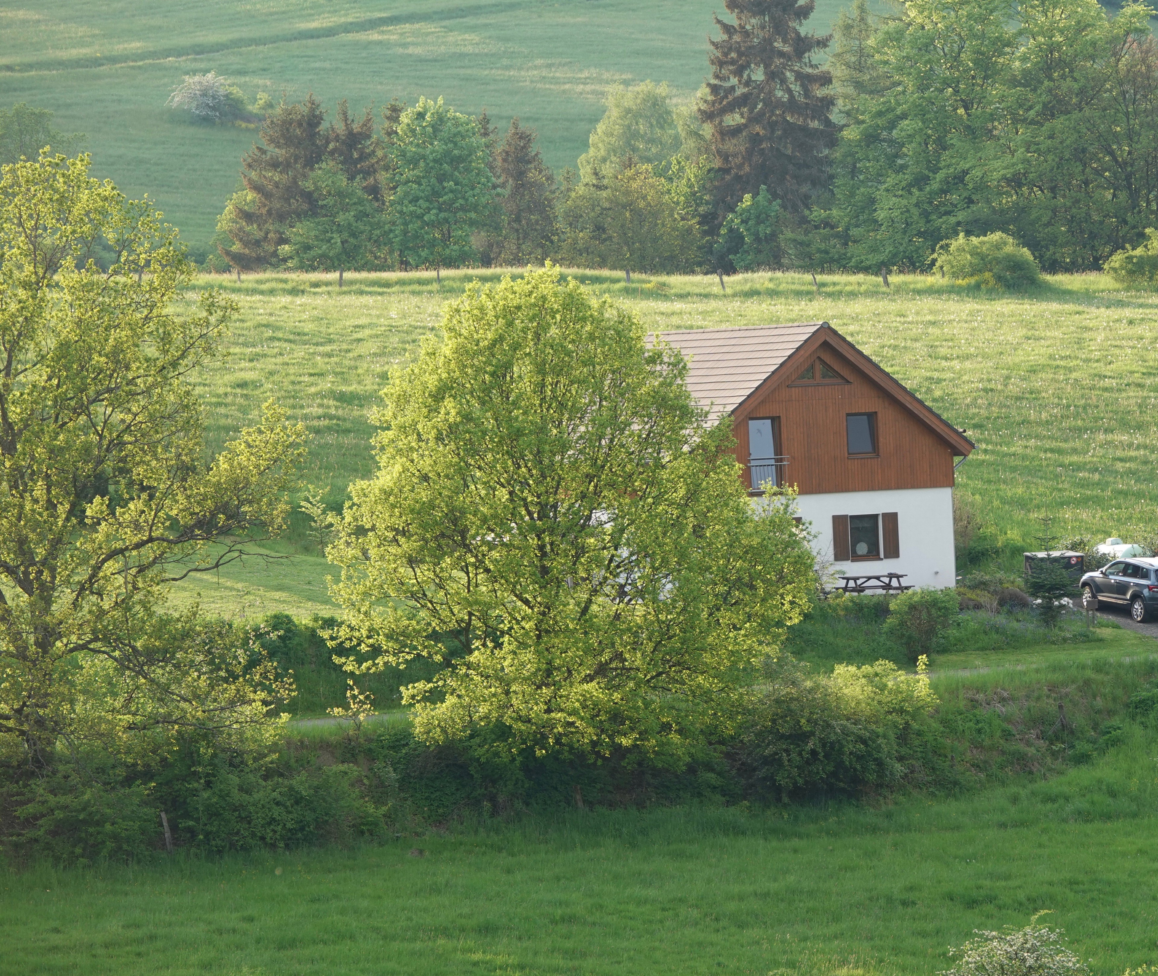 - image: 15