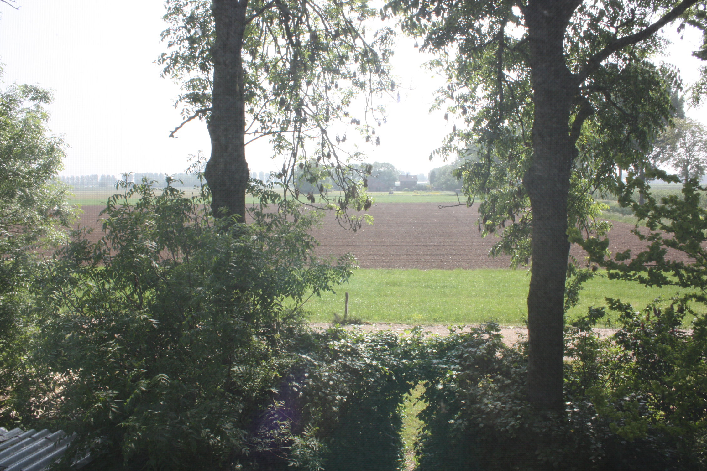 - image: 14