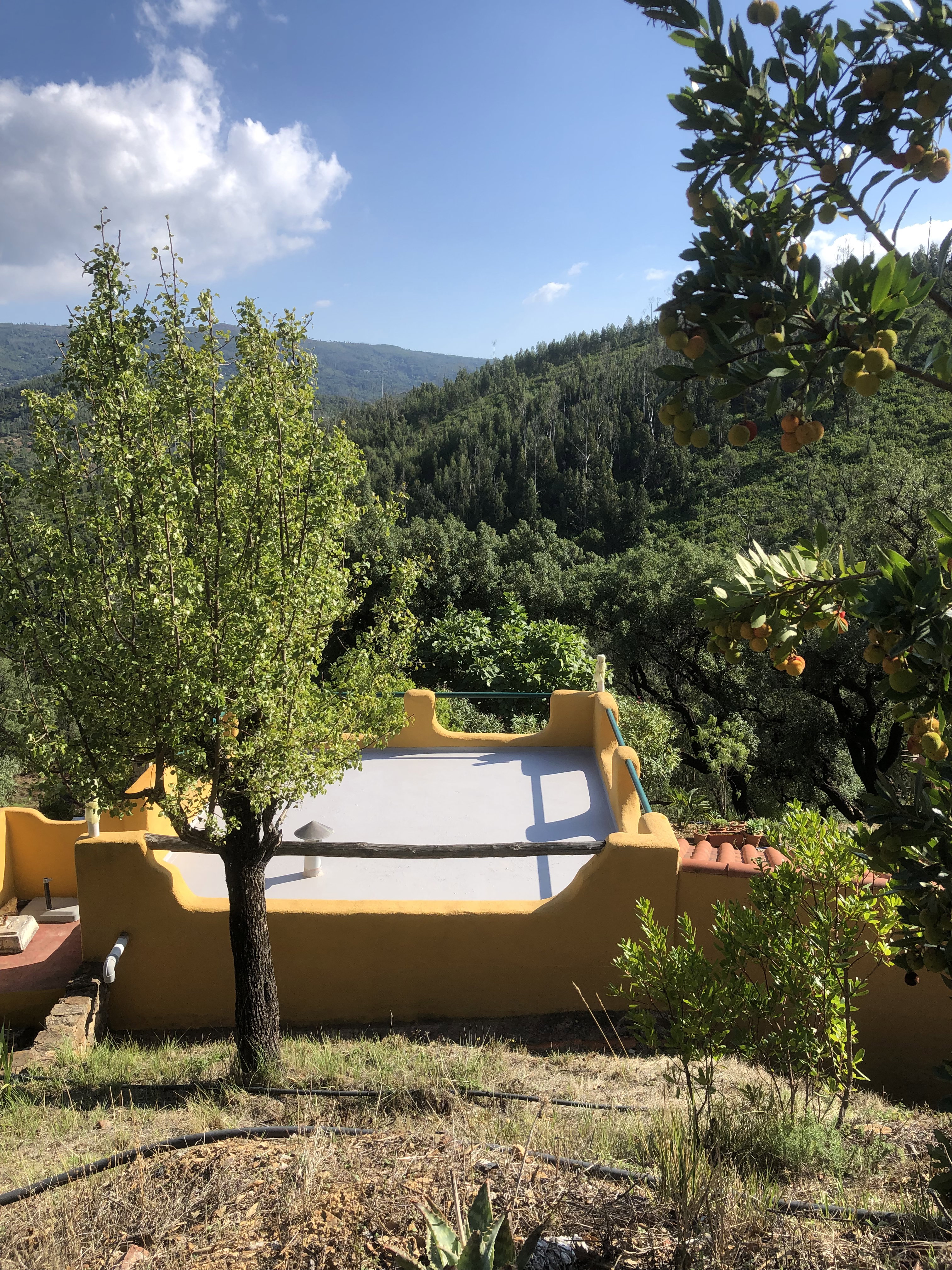 Naturhäuschen in Monchique