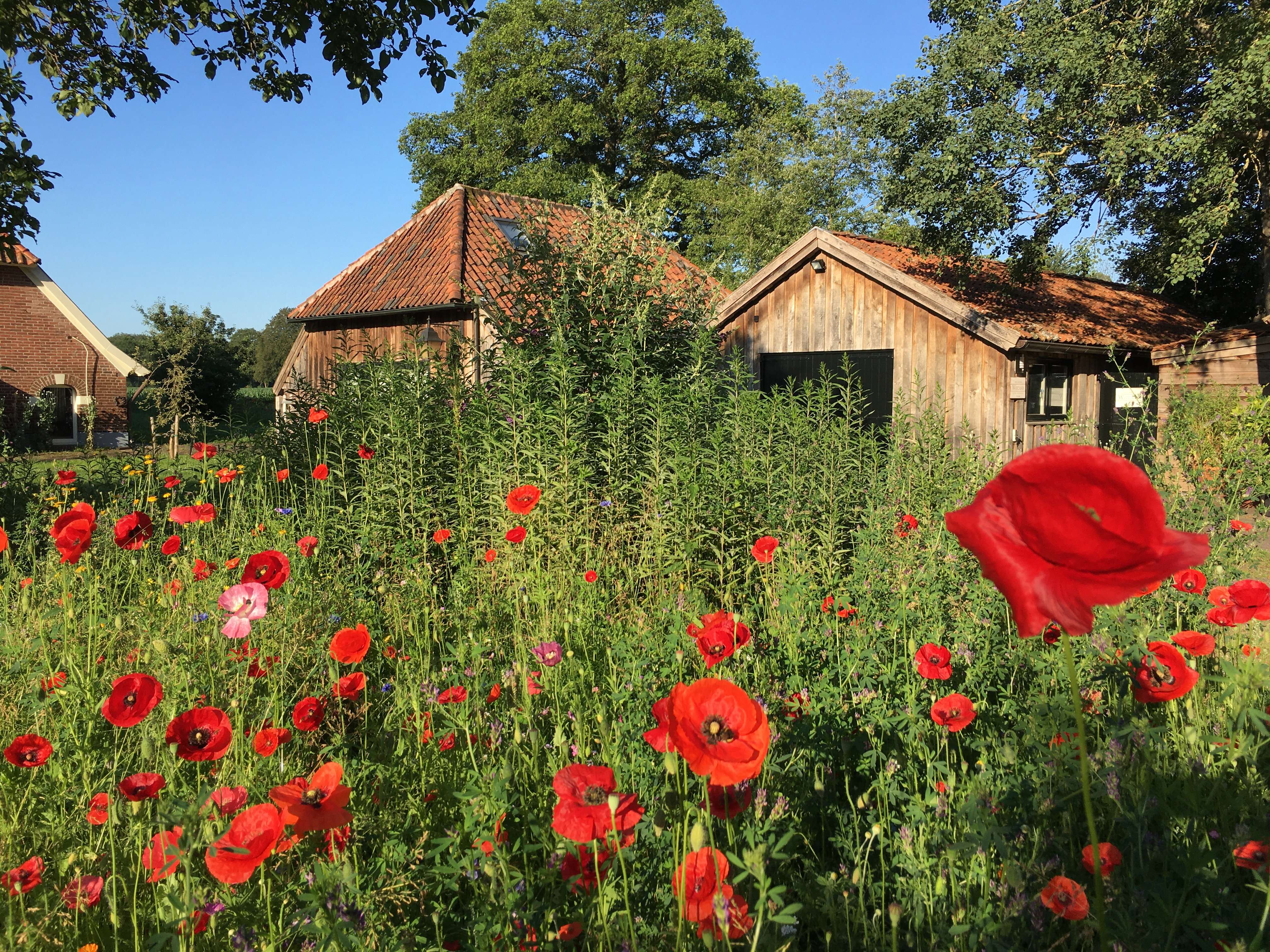 Natuurhuisje in Barchem