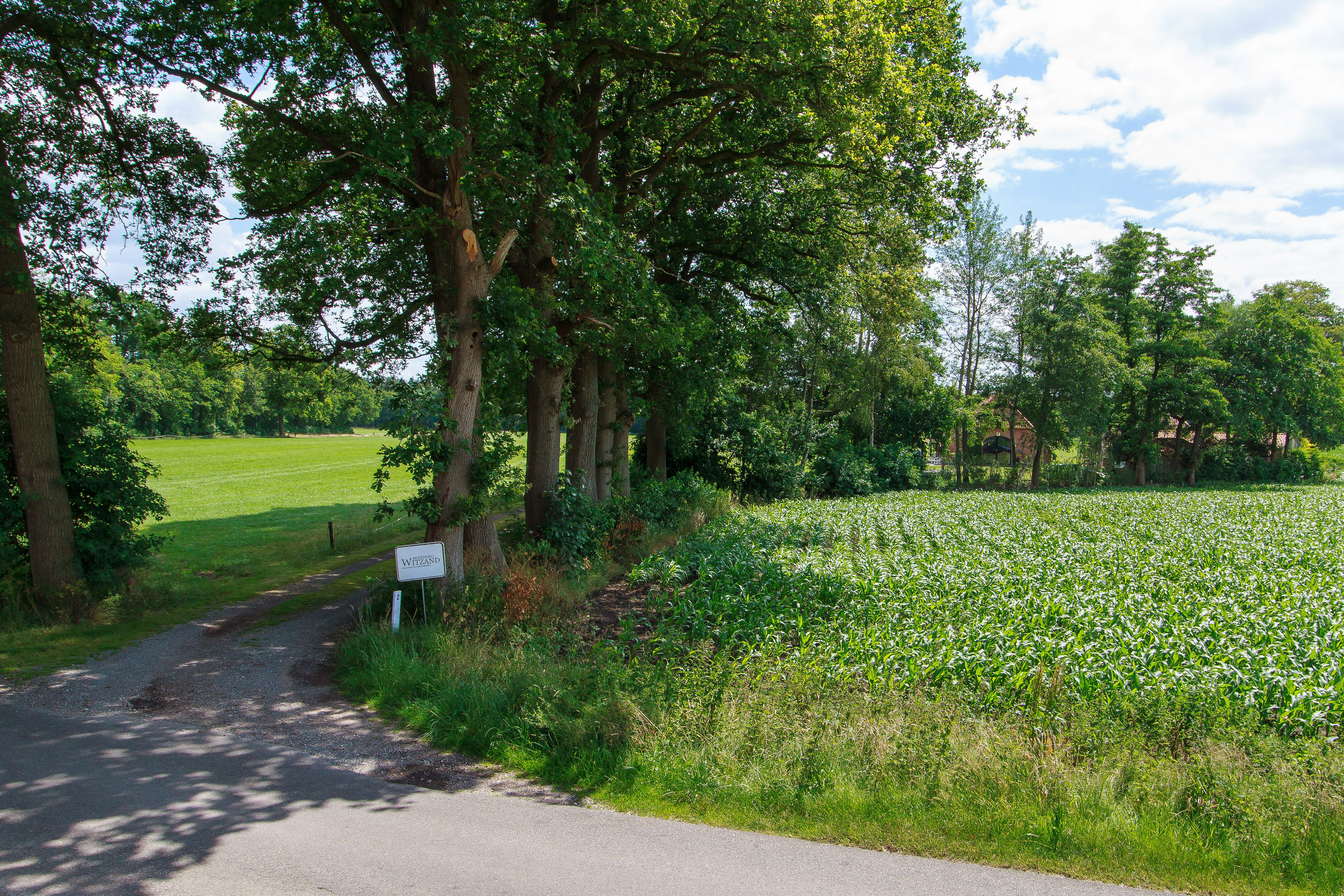 Maison nature à Barchem
