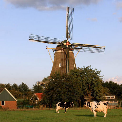 - image: 21