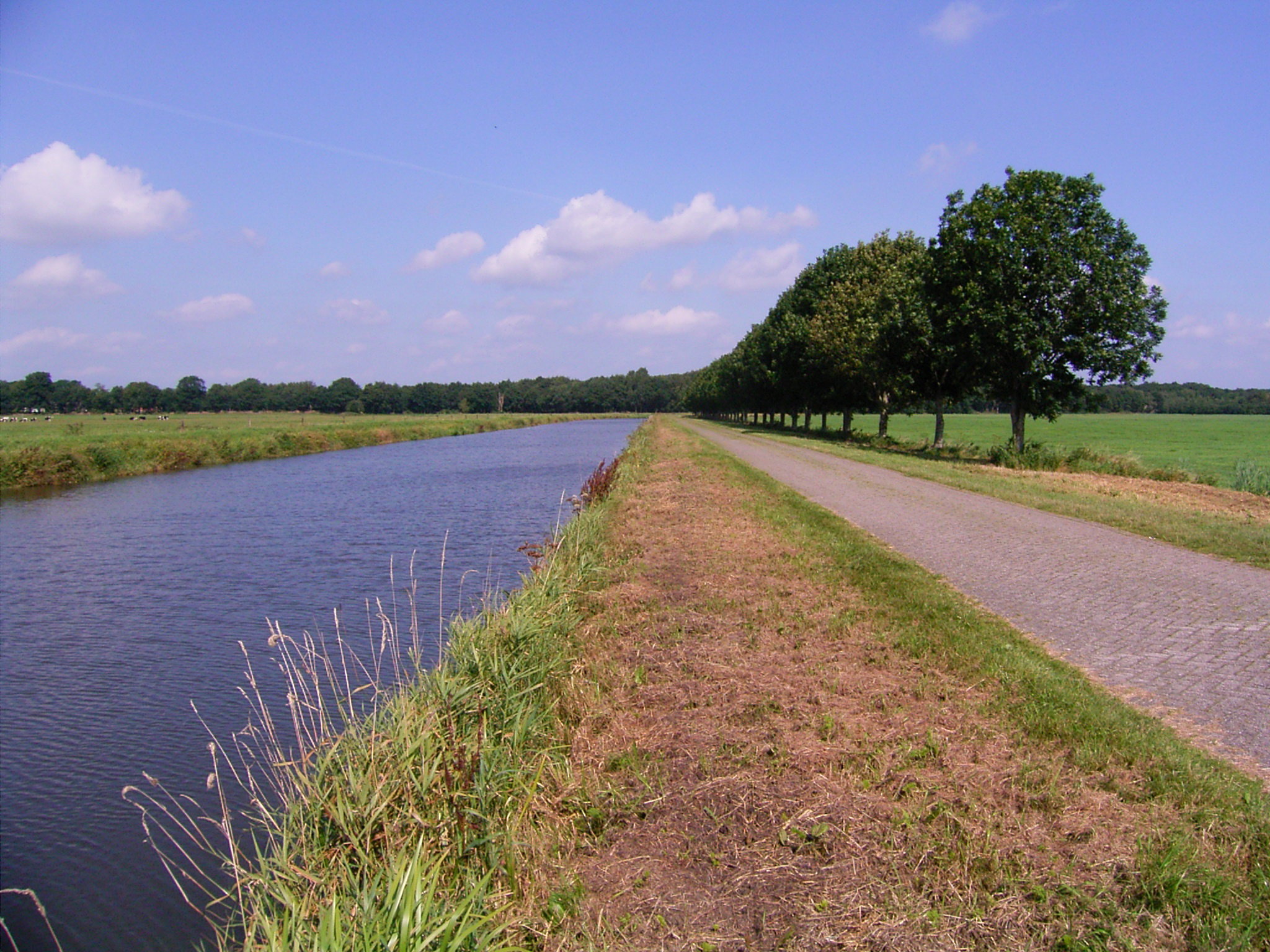 - image: 27