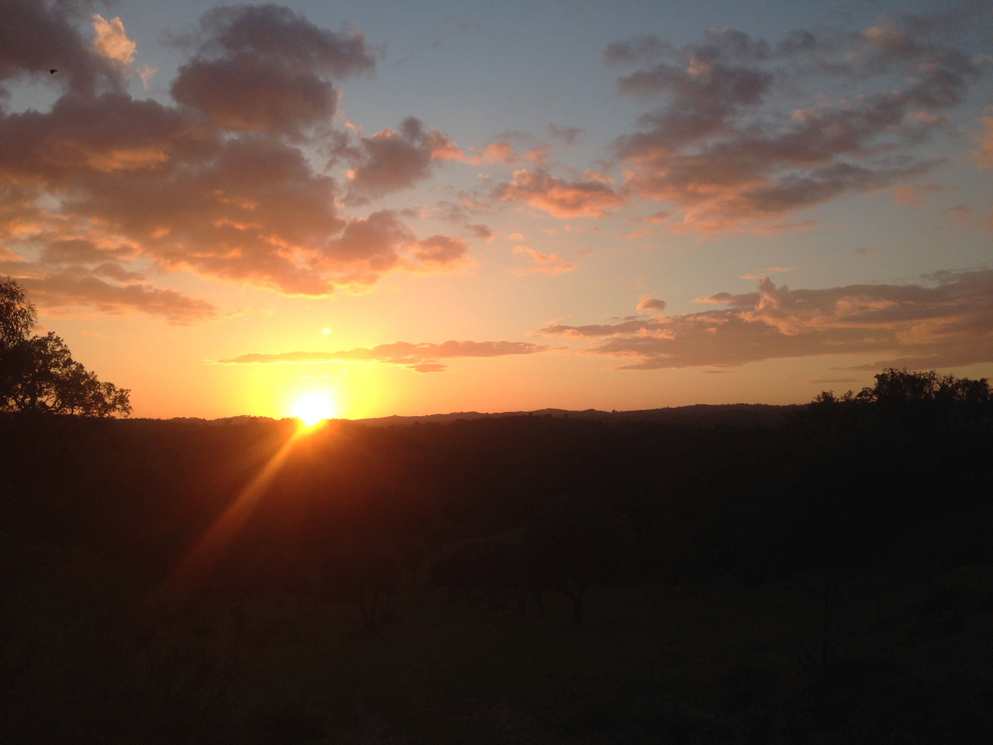 - image: 19