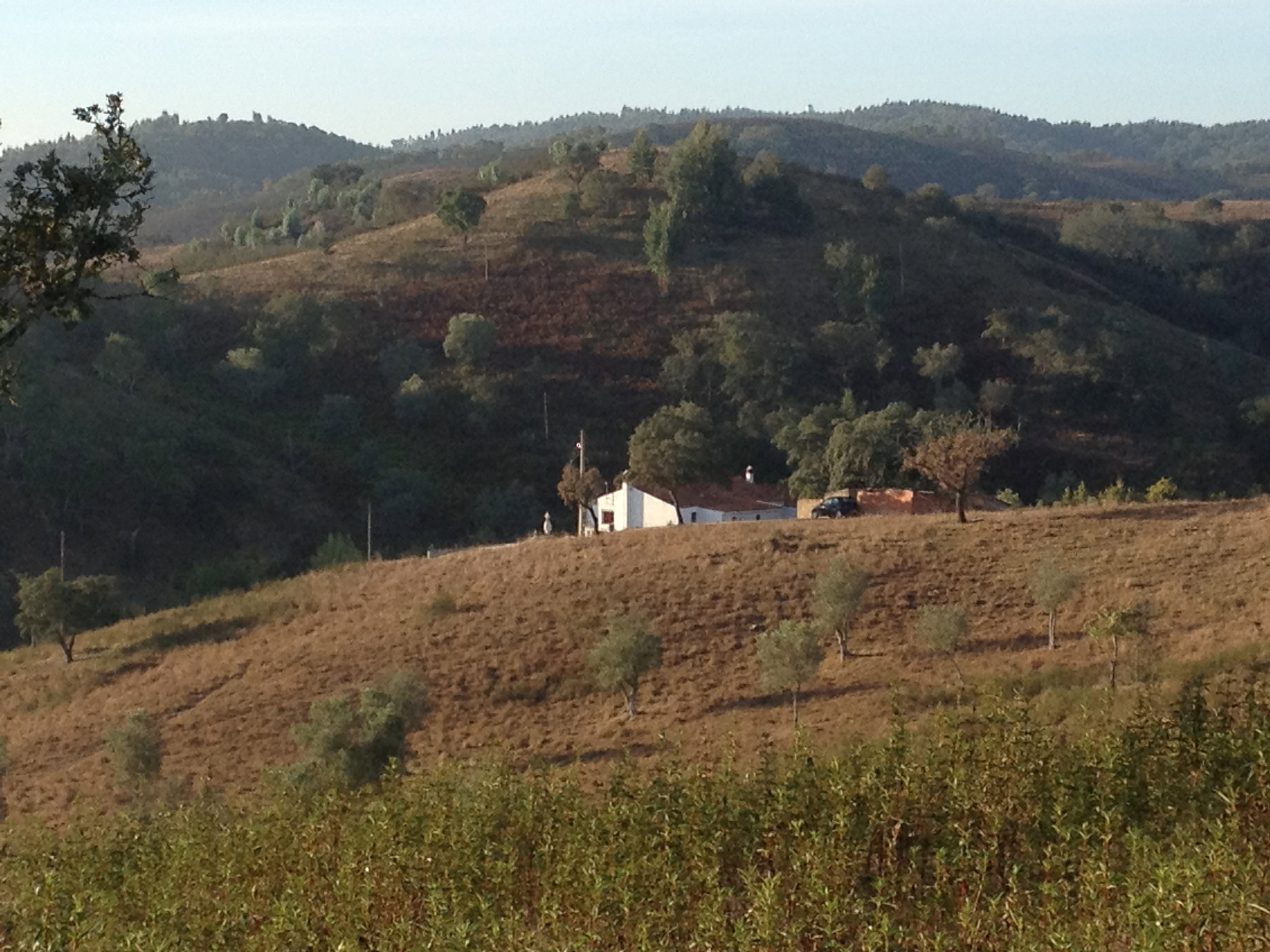 Natuurhuisje in Amoreiras Gare