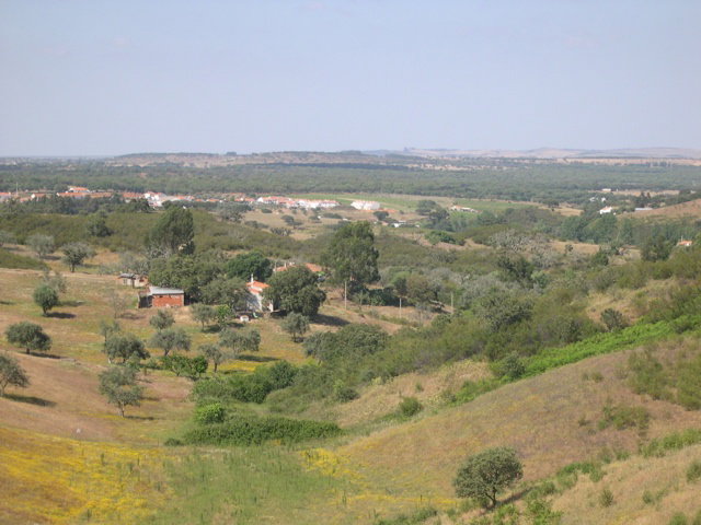 - image: 17