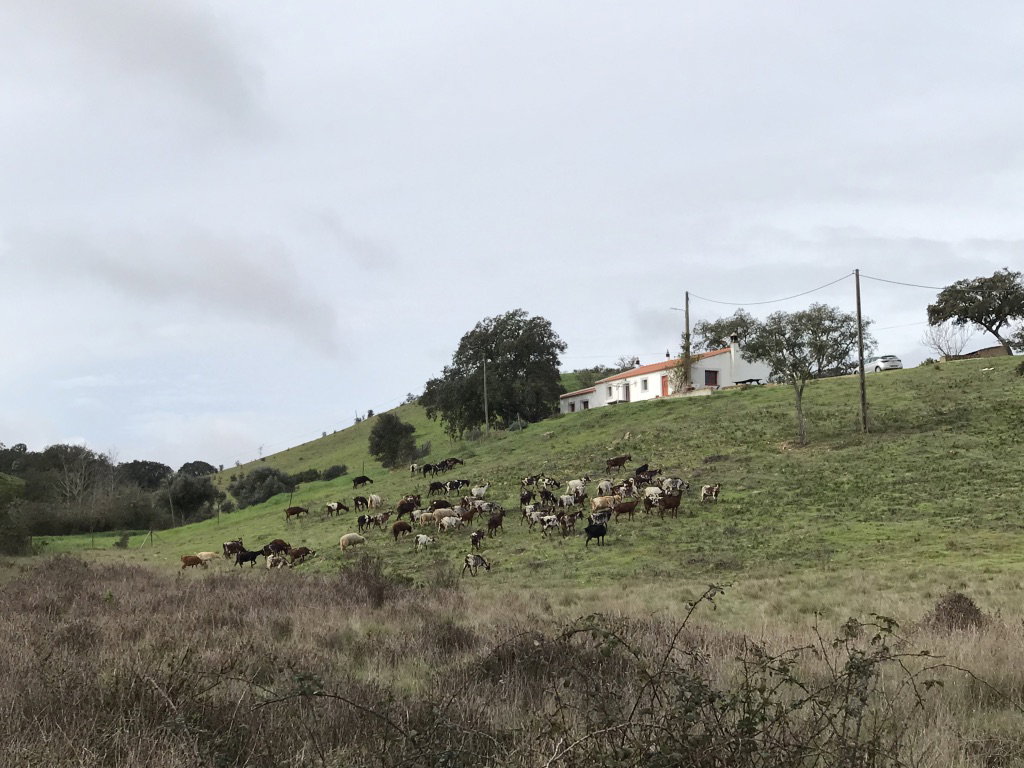 - image: 16