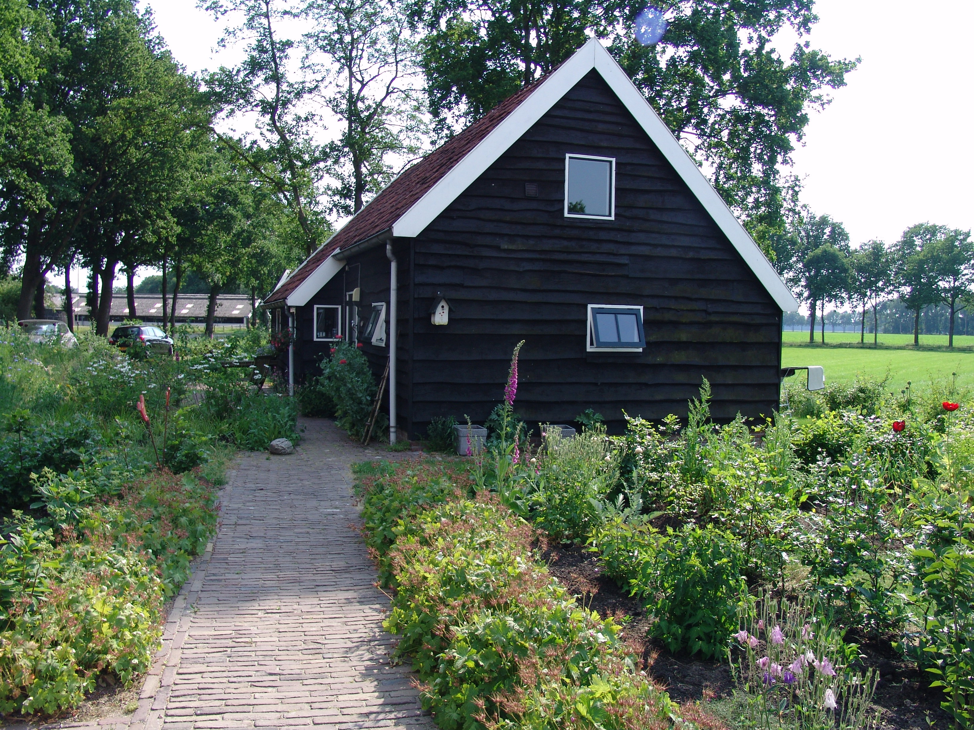 Maison nature à Dwingeloo