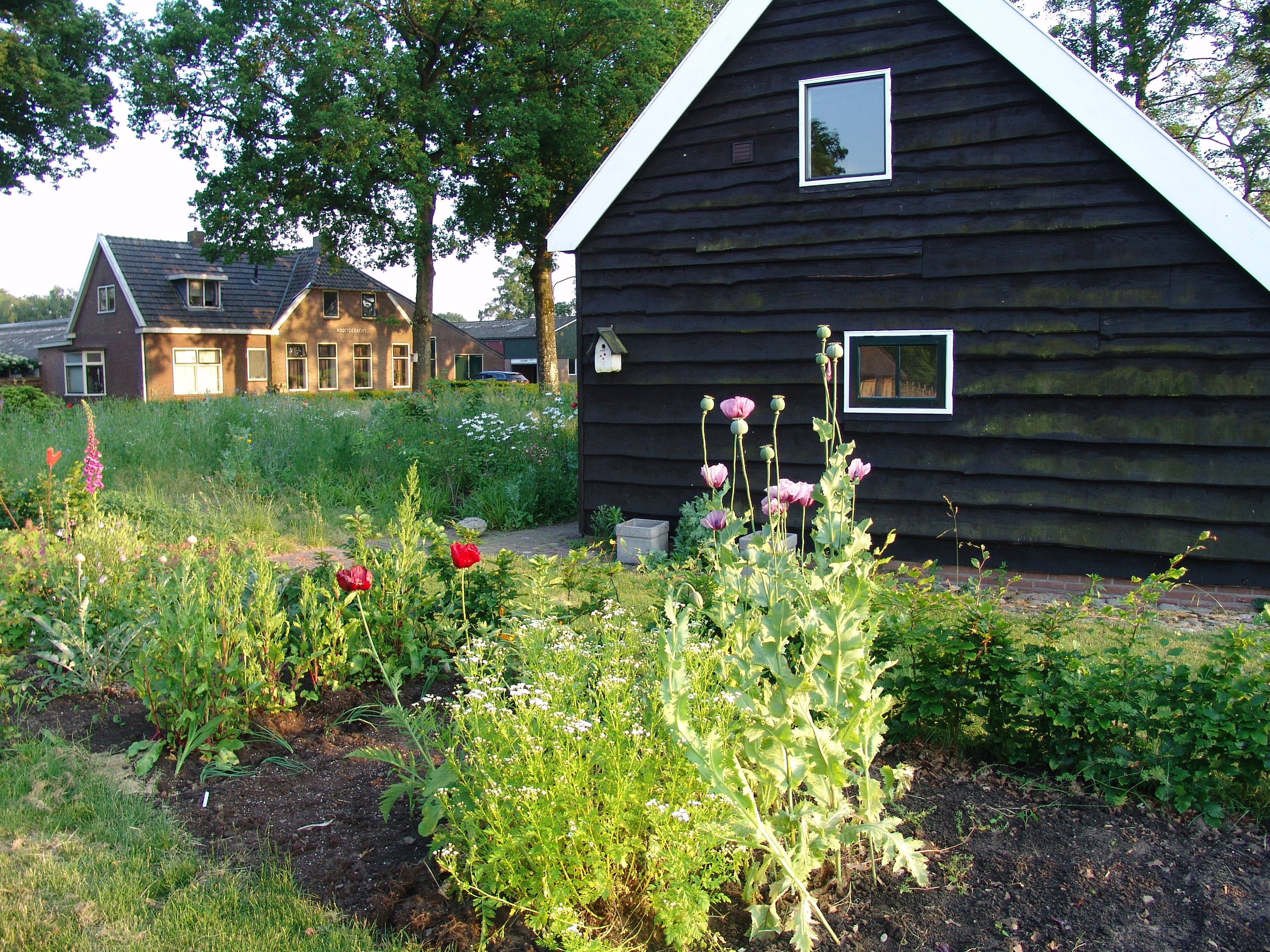 Maison nature à Dwingeloo