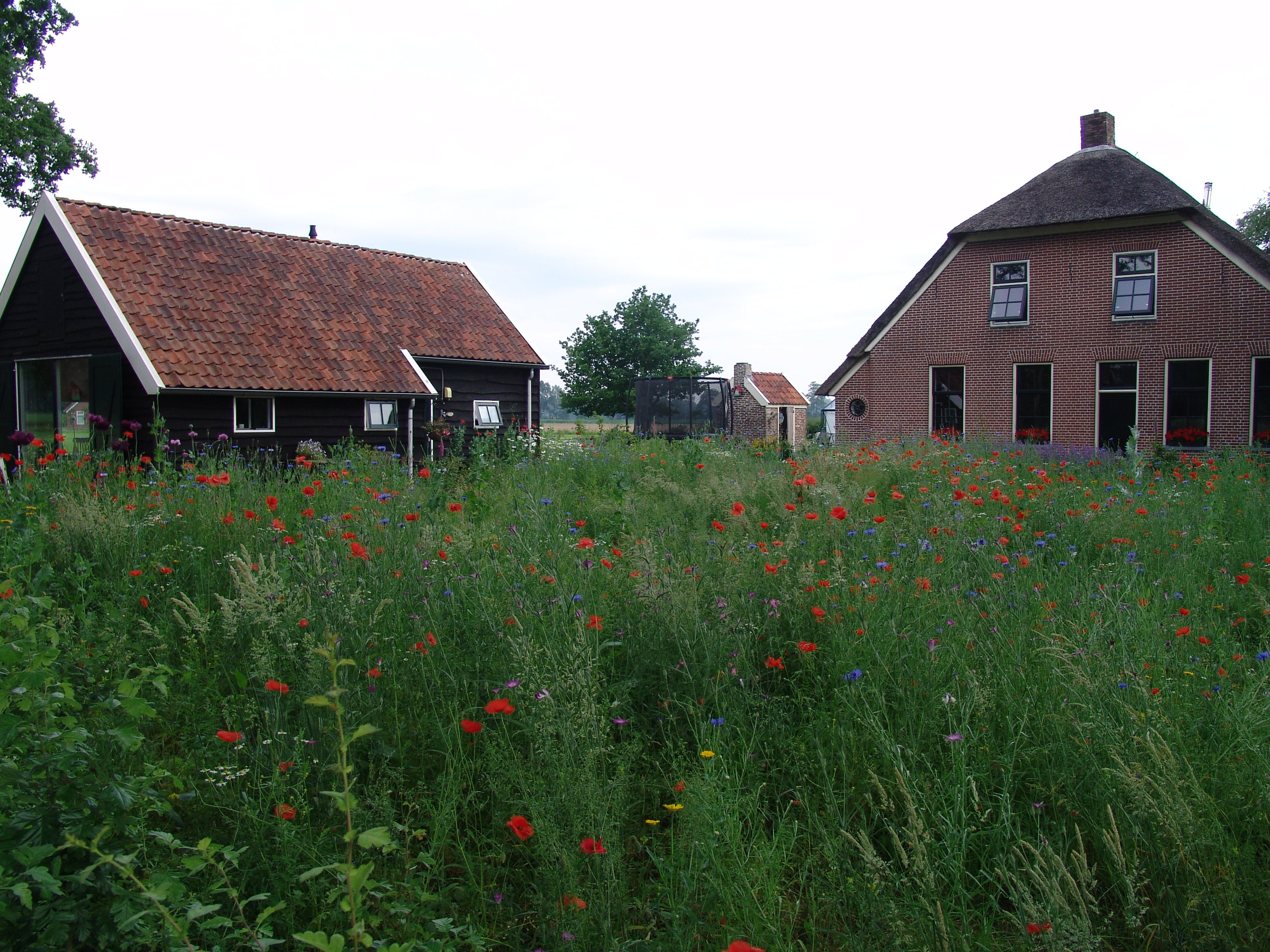 Maison nature à Dwingeloo