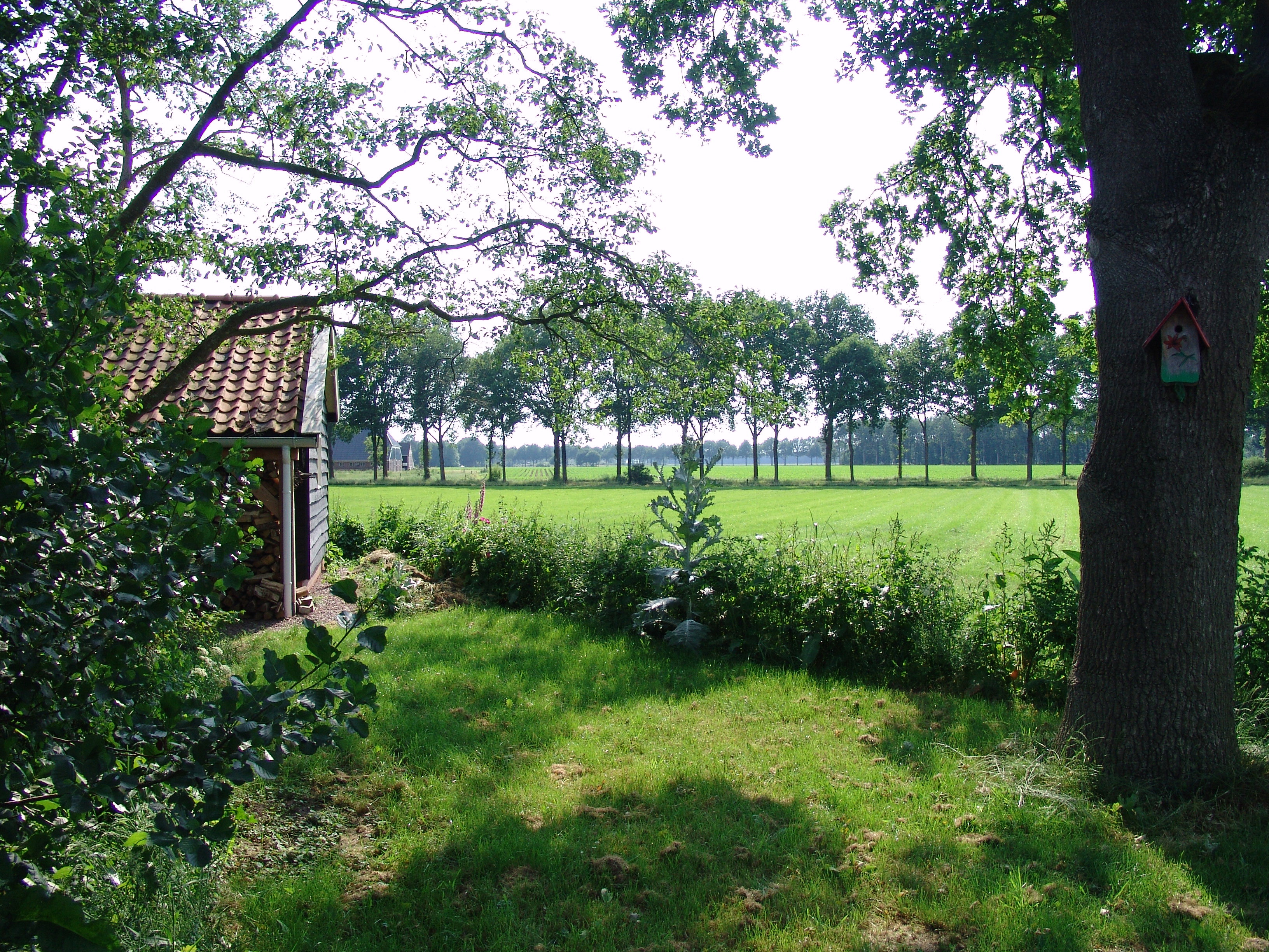 Maison nature à Dwingeloo