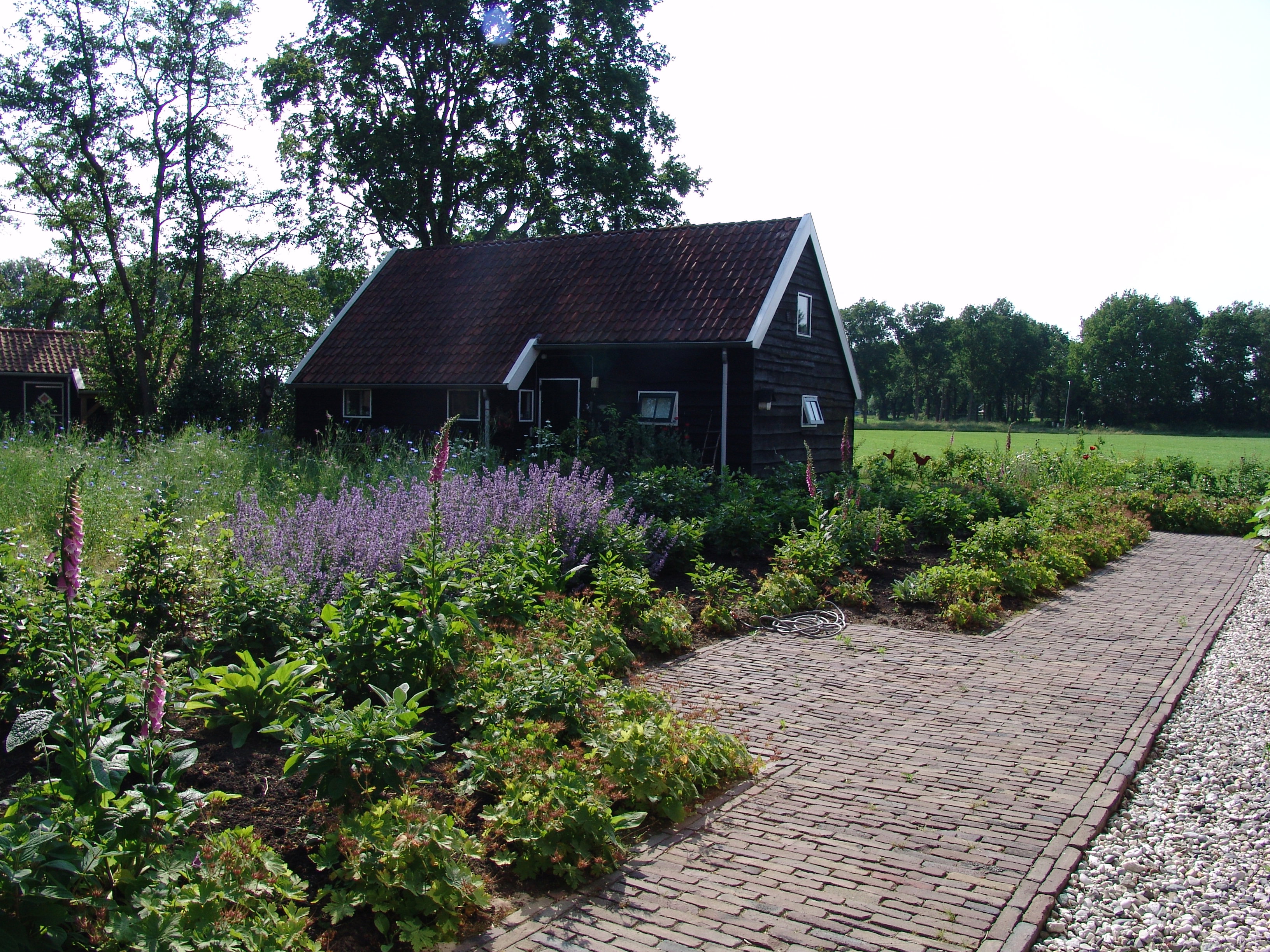 Maison nature à Dwingeloo