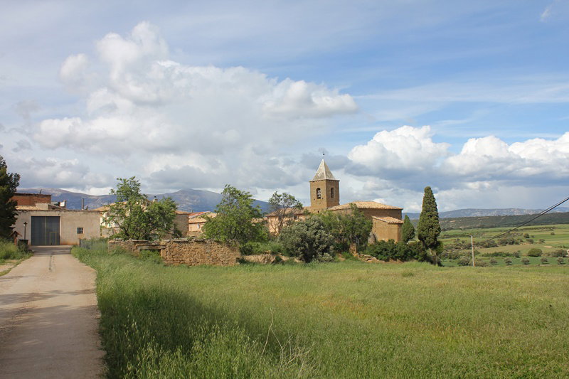 - image: 22