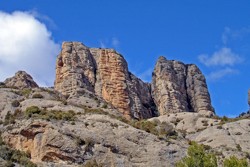 - image: 28