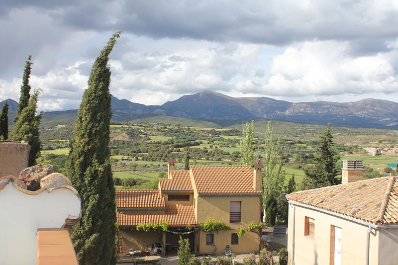 - image: 11