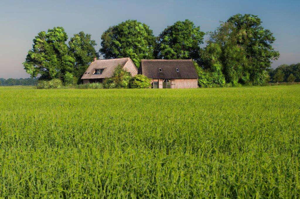 Naturhäuschen in Nieuw-Schoonebeek