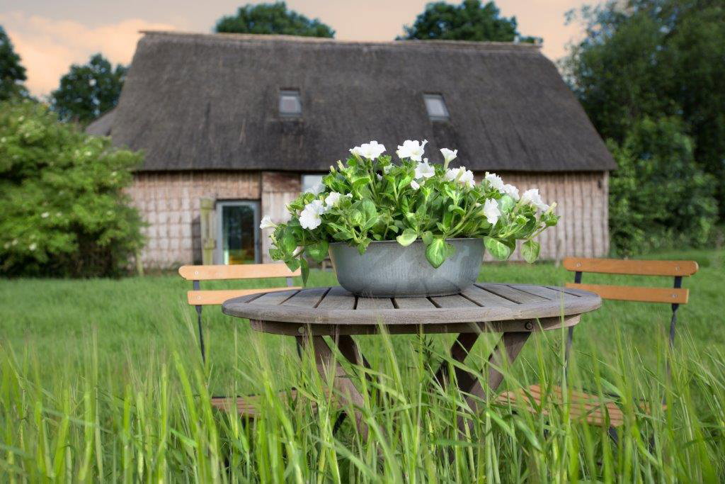 Naturhäuschen in Nieuw-Schoonebeek