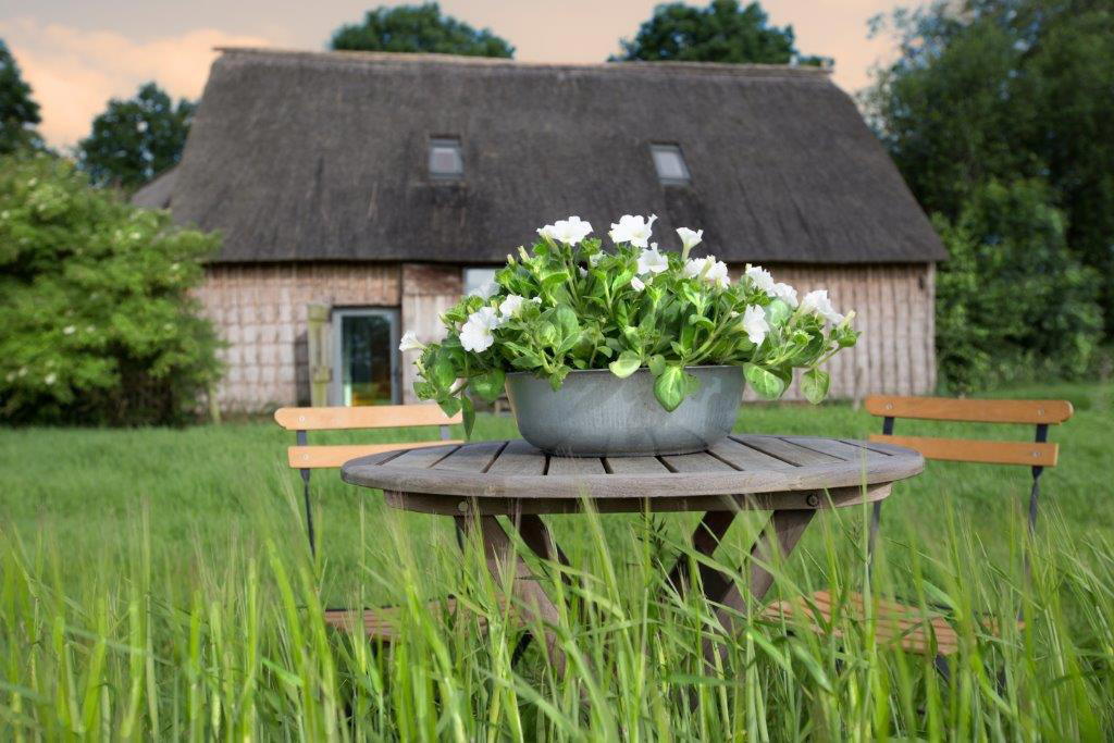 Nature house in Nieuw-Schoonebeek