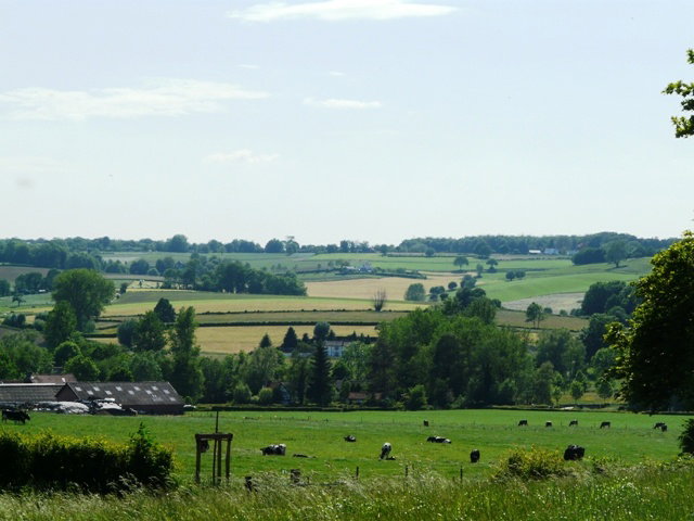 - image: 17