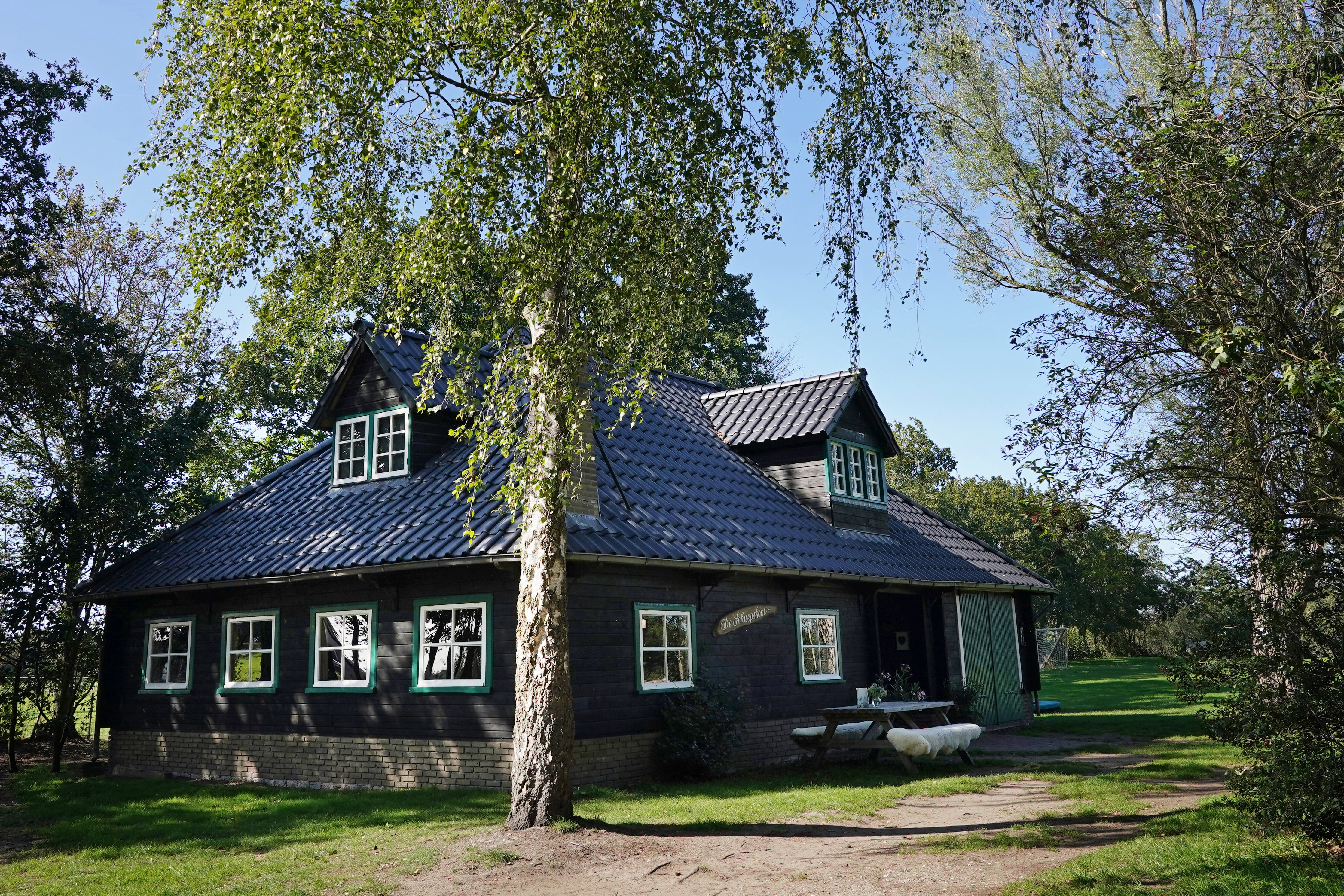 - image: 23