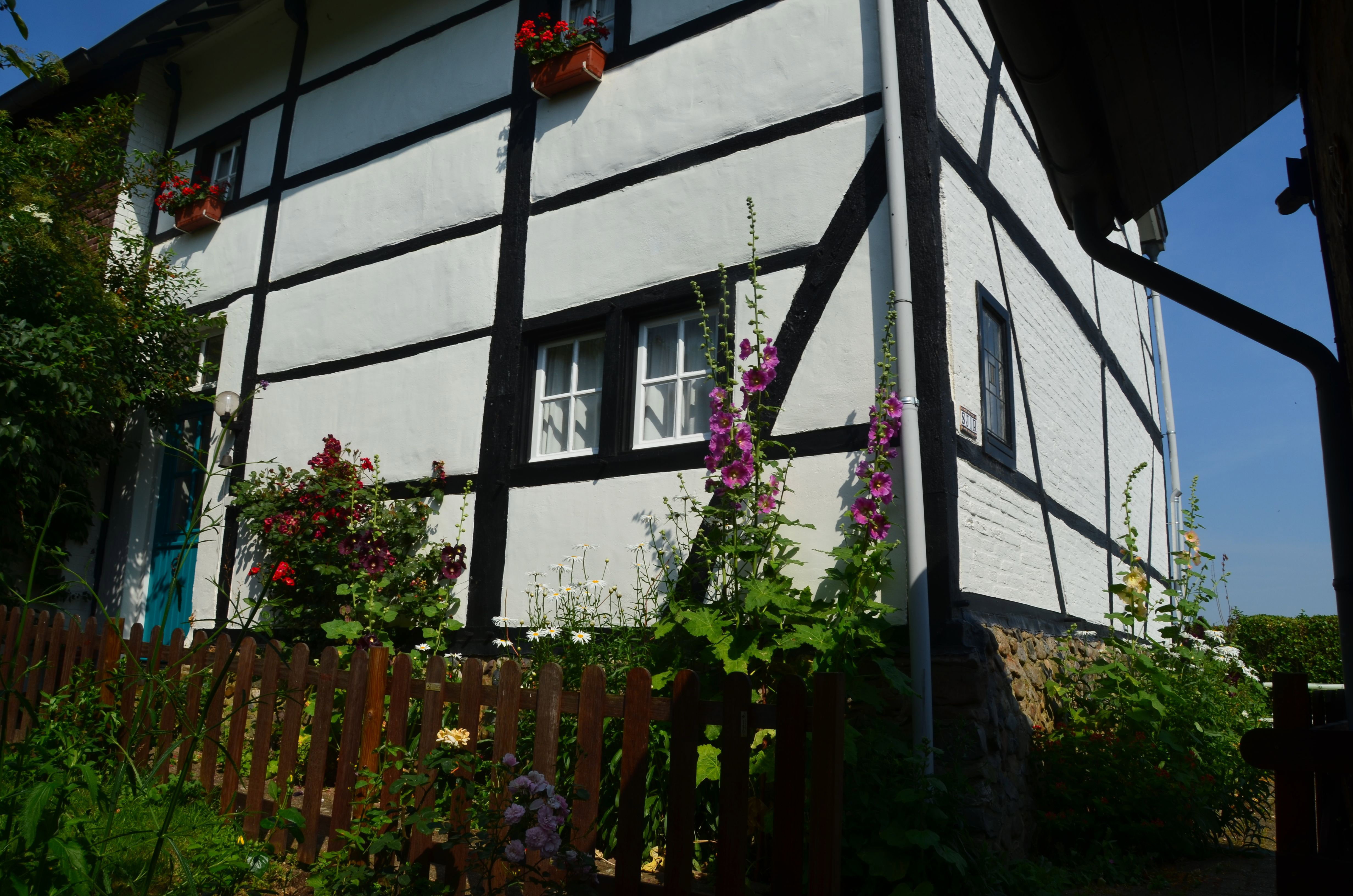 Naturhäuschen in Mechelen